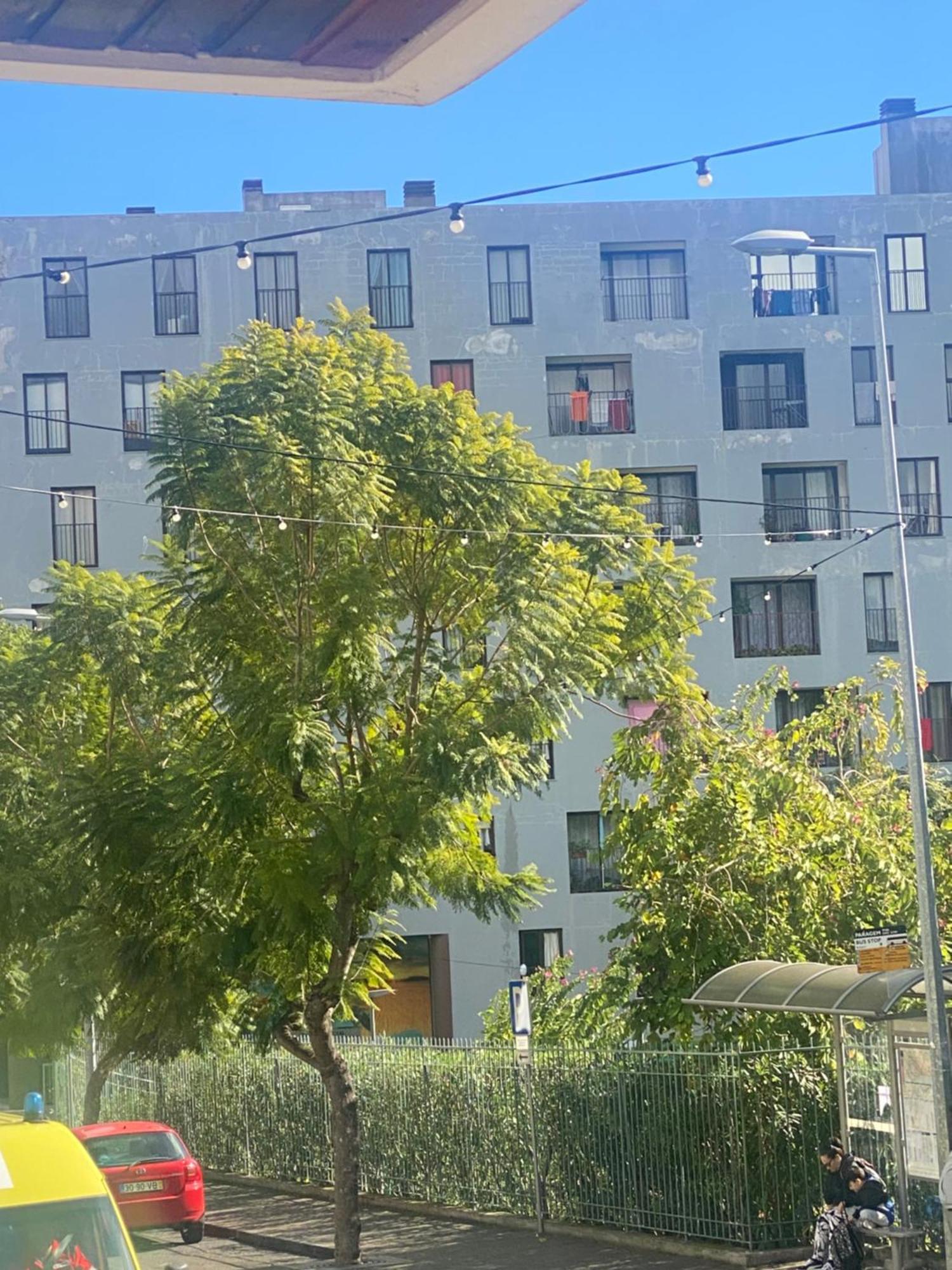 Funchal Varzea Park Apartment Luaran gambar